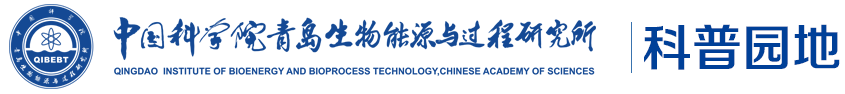 中国科学院青岛生物能源与过程研究所科普网站